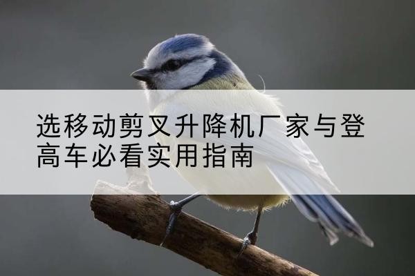 扶沟电动升降机厂家-选移动剪叉升降机厂家与登高车必看实用指南