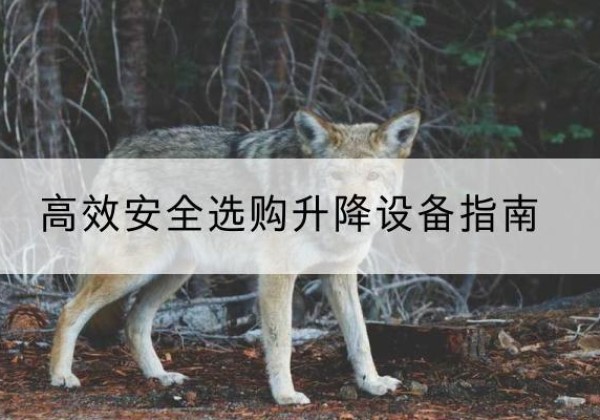 扶沟升降货梯厂家推荐-*安全选购升降设备指南