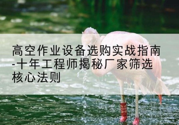 扶沟剪叉式升降机厂家-高空作业设备选购实战指南-十年工程师揭秘厂家筛选核心法则